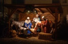 Impression 3 - Marktwesen: Adventsmarkt Bischofszell