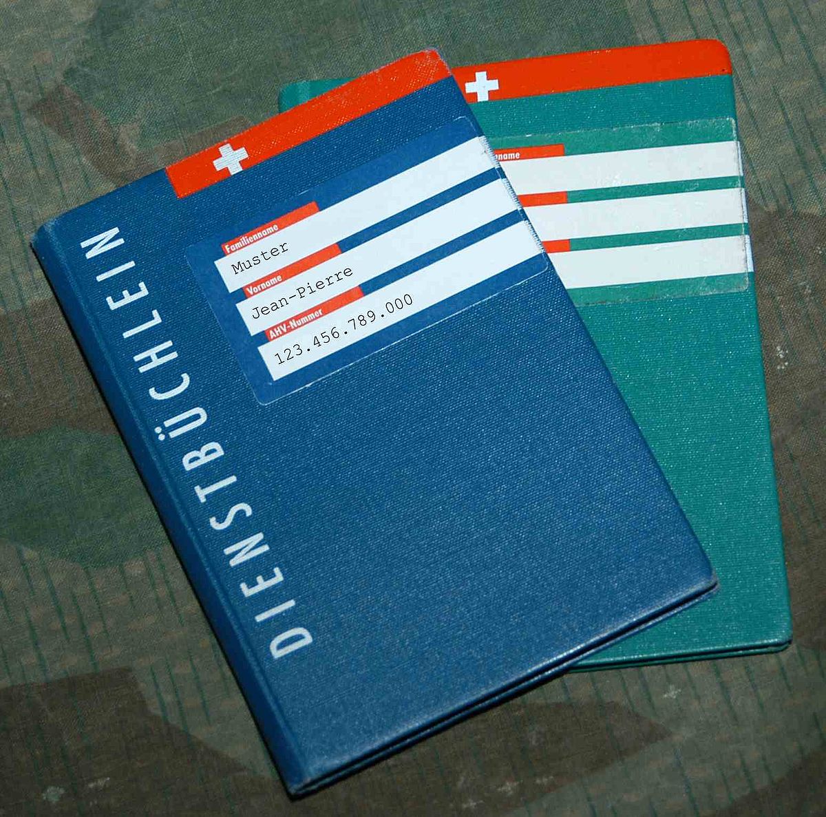 Logo - Obligatorisch- und Feldschiessen